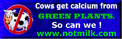 green.gif (8953 bytes)