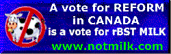 vote.gif (8836 bytes)